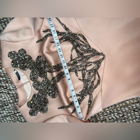 Gorgeous Alexander McQueen Gown size 48 - Picture 6 of 12